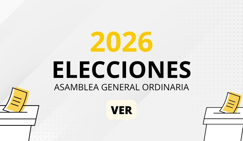 Elecciones 2026